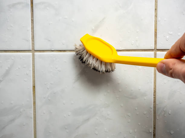 Best Residential Mold Removal  in Elizabethtown, KY