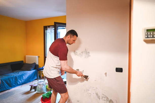 Best Emergency Mold Removal  in Elizabethtown, KY